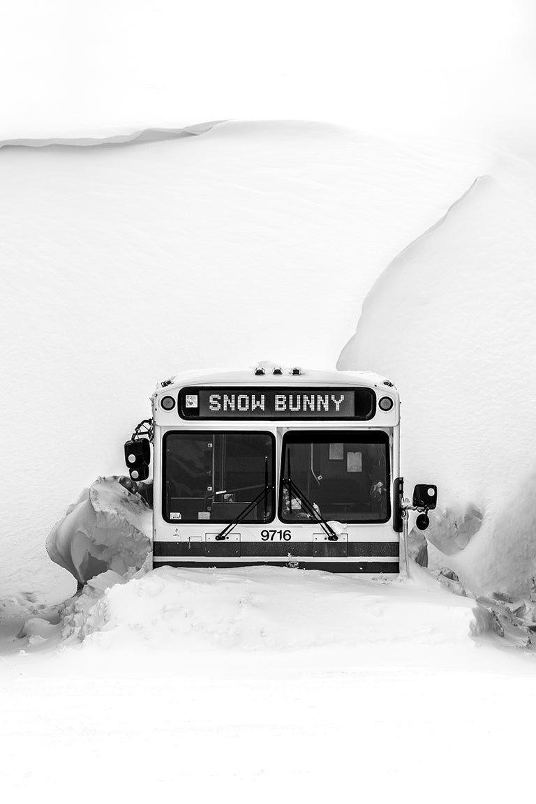 Winter Snow Bunny Bus