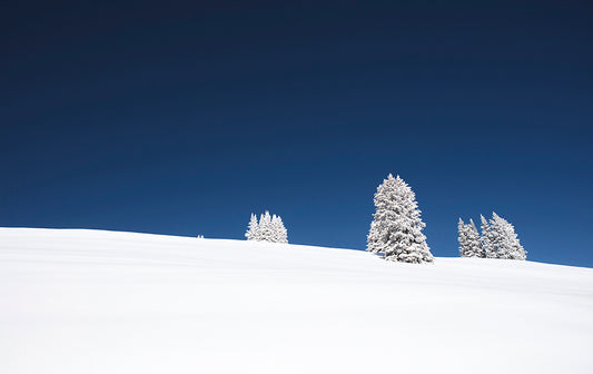 Vail Snowy Hill With Trees Photos