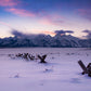 Wyoming Mountains Photos