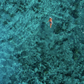 Outer Space - Tahiti Sea Aerial Swimmer Photos