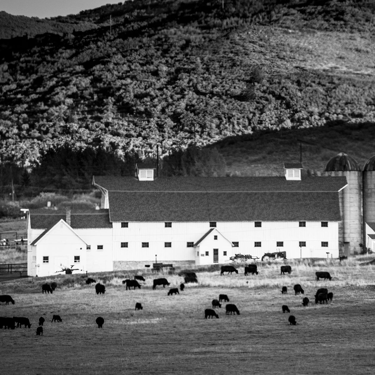 Park City Barn