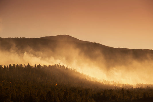 Morning Mist - Vail Trees Morning Mist Photos
