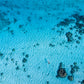 Shark Bait - Tahiti Aerial Single Swimmer Photos